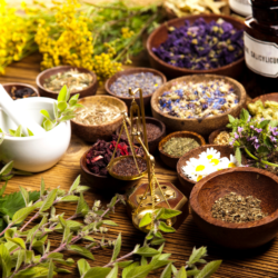 Herbs